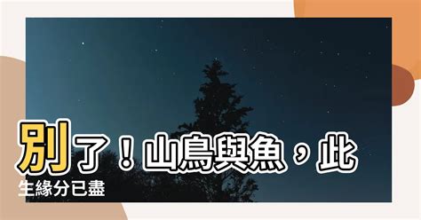 山鳥與魚不同路 從此山水不相逢意思